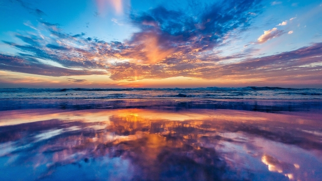 K1体育：乒乓球台内挑球的发力过程总结