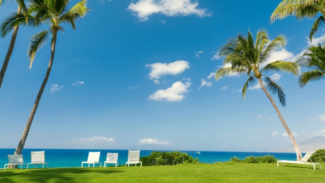 硅pu篮球场建设工程